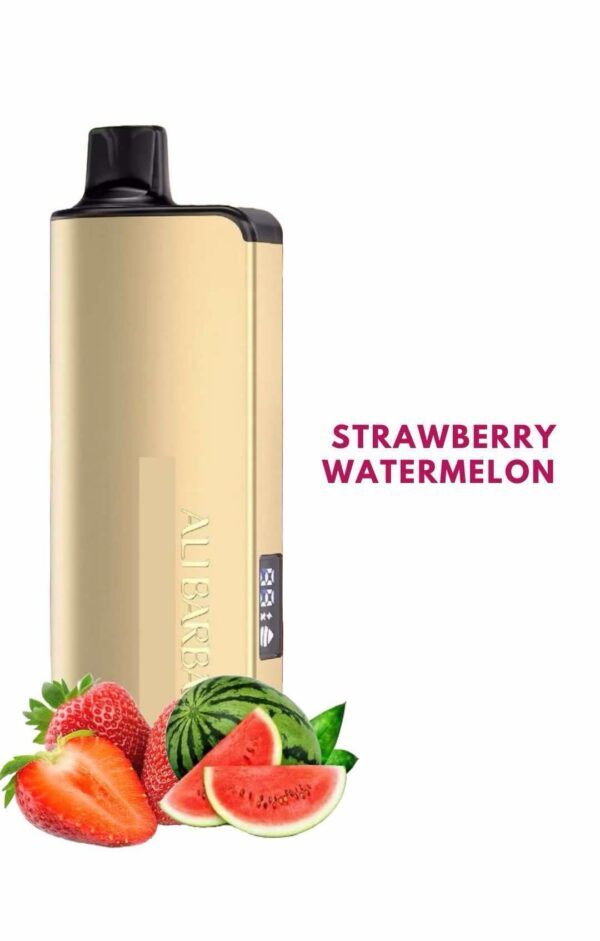 ALIBARBAR INGOT – STRAWBERRY WATERMELON – 9000 PUFFS
